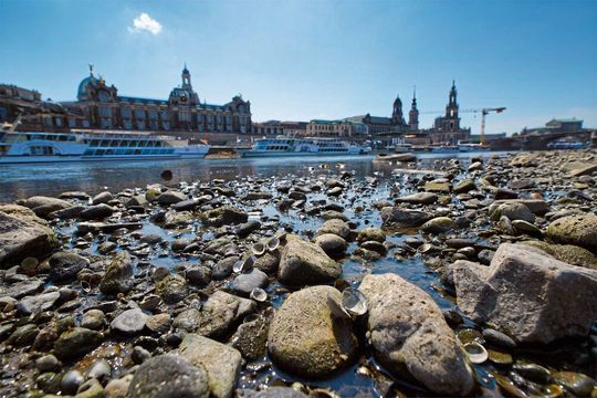 Niedrigstwasser in der Elbe in Dresden im Dürrejahr 2018 Niedrigstwasser in der Elbe in Dresden im Dürrejahr 2018