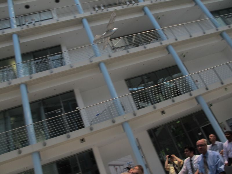 Der Smart Bird ist ein Projekt des Bionic Learning Network von Festo und... (Bild: Ernhofer/PROCESS)