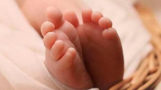 Researchers say the finding is important since congenital heart defects are the most common form of birth defects, and some of them are associated with life threatening complications. (Source: Pixabay)