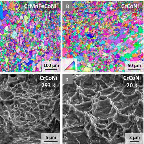 Microstructure and fractography of the CrCoNi-based alloys. Microstructure and fractography of the CrCoNi-based alloys.