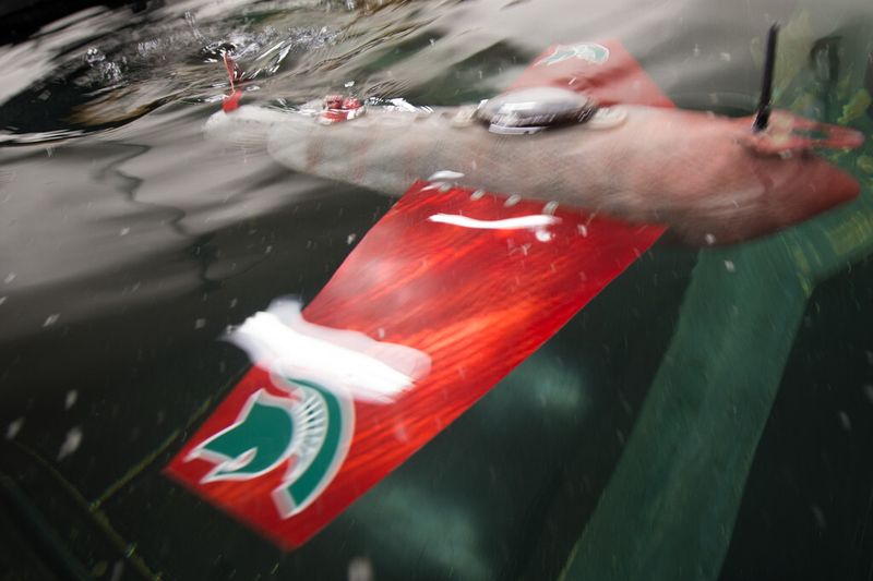 Der Roboter-Fisch Grace bei Schwimmversuchen im Labor (Michigan State University/G.L. Kohuth)