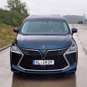 Über die Optik der Front läst sich streiten. Aber sie unterstreicht den Exotenstatus des Vans.(Bild:  Wehner - VCG)