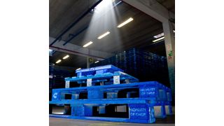 In sieben Ländern Mittel- und Osteuropas stellt Procter & Gamble seinen Warenverkehr auf das gepoolte Palettensystem von Chep um. (Bild: Chep)