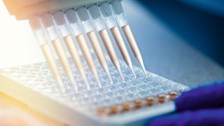 Abb. 1: Durchführung eines in-vitro Bioassays zur Bestimmung hormoneller Wirkungen in Wasserproben (Bild: © marina_li_1 - stock.adobe.com)