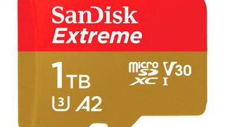 Die Sandisk Extreme ist nun auch in einer Rekord-Speicherkapazität von Terabyte erhältlich. Die speziell für 4K- und App-Anwendungen gedachte Speicherkarte bietet eine maximale Schreibgeschwindigkeit von 160 Megabyte pro Sekunde. (Bild: Sandisk)