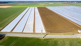 Dünne Mulch-Folien aus Polyethylen werden in vielen Ländern im Ackerbau eingesetzt und verschmutzen dort Böden massiv (Symbolbild). (Marco Verch / CC BY 2.0)