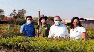 Grüne Logistik! Das heißt, 20 Bäume pro Elektrostapler, denn Jungheinrich unterstützt die Wiederaufforstung in Brasilien, wie jetzt bekannt gemacht wurde. (Jungheinrich)