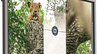 Alternative zur Tafel: Die innovativen Touchscreens des niederländischen Unternehmens Prowise erobern immer mehr Klassenzimmer und Hörsäle und ermöglichen dort ein interaktives Lernen. (Tsubaki Kabelschlepp)