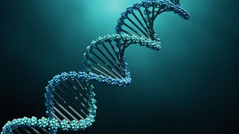 7) Programmierbare DNA-Materialien Forscher nutzen DNA als Baumaterial für 3D-Nanostrukturen. Diese biologischen „Lego-Steine“ organisieren sich selbst zu komplexen Formen und können mit Goldpartikeln funktionalisiert werden. Das Ziel: 3D-Schaltkreise im Nanomaßstab. Paul Rothemund entwickelte 2006 am California Institute of Technology die DNA-Origami-Technik und demonstrierte sie mit DNA-Smiley-Gesichtern.  Quelle: Ingenieur.de - „Revolutionäre 3D-Materialien: DNA definiert Nanotechnologie neu“ Entdeckung: Rothemund Lab - DNA Origami.    LP-Lesetipp: Es wird immer kleiner: Motor aus DNA (Bild: © Design Cells - stock.adobe.com)