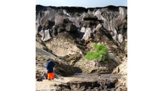 Permafrostaufschluss im Sibirischen Lena-Delta. Ein Teil der Proben stammt von dort. (UHH/CEN/I.Preuss)