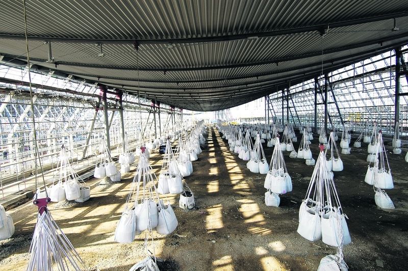 Um das fragile Dach bei Windböen im Lot zu halten, wurde es bis zur Fassadenmontage mit einigen hundert Sandsäcken beschwert. (Archiv: Vogel Business Media)