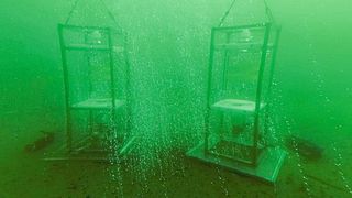 Der „Bubble Catcher“  wurde am IOW entwickelt, um an natürlichen Methanaustrittsstellen am Meeresgrund Blasen kontaminationsfrei zur Analyse anhaftender Bakterien einzufangen.  (Bild: IOW / S. Jordan)