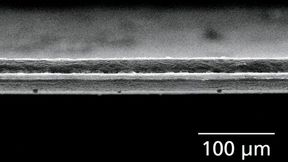 REM-Bild der Schnittflanke einer per Laser geschnittenen Lithium-Metall-Anode. Der Laserprozess erzeugt eine gleichmäßige, nahezu gratfreie Kante mit minimaler Wärmeeinflusszone und ohne mechanische Verformung des reaktiven Metalls. (Bild: Fraunhofer ILT)