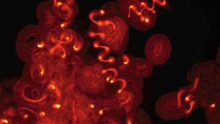 In Gelen, die der Dichte der Säugetierhaut nachempfunden waren, bewegten sich die Malaria-Erreger in Spiralen, erkennbar an den orange leuchtenden „Kriechspuren“ im rund 0,1 Millimeter dicken Polyacrylamid-Gel.  (Bild: Universitätsklinikum Heidelberg)