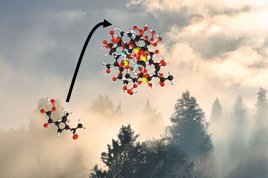 Verschiedene Moleküle können Mini-Partikel bilden, die dann einen Einfluss auf das Klima haben.(Bild:  TU Wien)