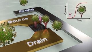 Schematischer Aufbau eines Sensors zu Detektion von viralen Erregern (Bild: TUD )