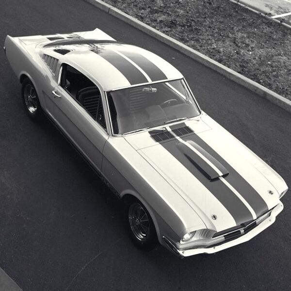 Der erste gefertigte Shelby Mustang GT350, im Jahr 1964. (Ford Motor Company)