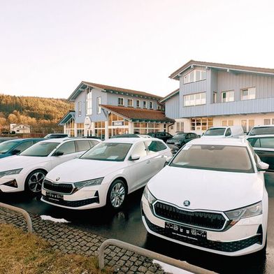 Das Autohaus Niedermayer liegt in Neukirchen, mitten im bayerischen Wald. (Bild: Mauritz – VCG)
