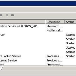 Installierte Dienste von Antigen.
