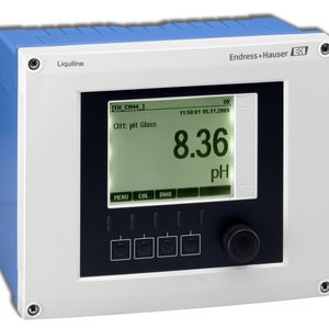 (Bild: Endress+Hauser)