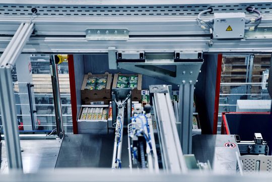 Vollautomatische Kommissionierung eines breiten Sortiments an Frischeartikeln (hier von Milchprodukten).(Bild:  Witron)