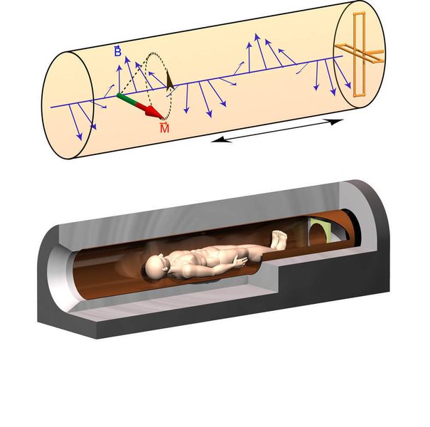 Aufbau der NMR/MRI Experimente mit propagierenden Wellen: a) Das magnetische Wechselfeld (B) einer propagierenden Welle vermag die nukleare Magnetisierung (M) über große Distanzen von der Antenne anzuregen und zu detektieren. Dazu muss die Frequenz der Welle aber hoch genug und der Durchmesser der Röhre groß genug sein; b) innerhalb des Wellenleiters können große Objekte, z.B. ein ganzer menschlicher Körper, auch bei höchsten Feldstärken ausgeleuchtet werden. Dabei kann die Antenne sogar in einiger Entfernung zum Körper angebracht werden. Dies ist im Vergleich zu herkömmlichen Nahfeld basierten NMR-Detektoren nicht nur robuster und sicherer, sondern schafft auch Platz in der Röhre rundum den Patienten. (Archiv: Vogel Business Media)