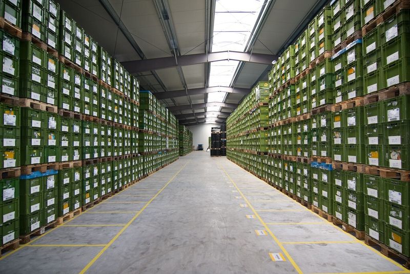 Hallenneubau der FWB Kunststofftechnik am Standort Pirmasens. (Bild: FWB)