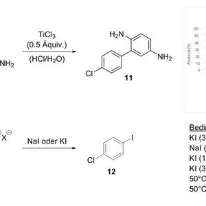 (FAU Erlangen-Nürnberg)