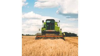 Die Digitalisierung schreitet auch im Agrarsektor voran. (freestocks.org / pexels.com)