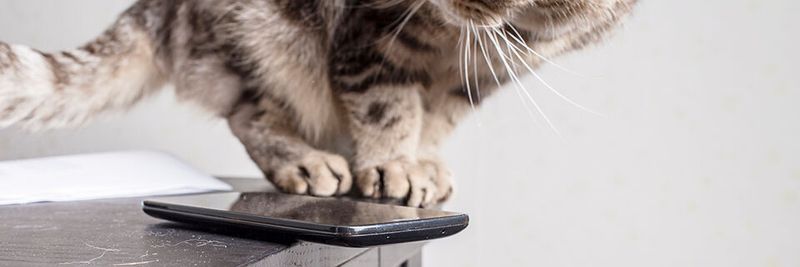 Kurioses, Tierisches, Nachdenkliches oder einfach nur unnützes Wissen – die Rand-Notiz zum Wochenende.(Bild:  © koldunova - stock.adobe.com)