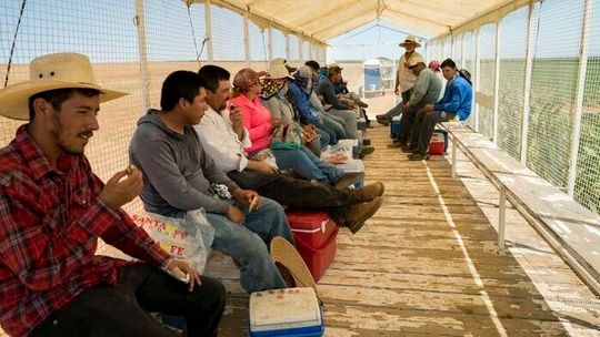A cotton trailer outfitted with benches and a sunshade offers farmworkers a reprieve from the sun as they take a break from picking cantaloupe melons in Firebaugh, Calif. (Source:  Joe Proudman/ Regents of the University of California)