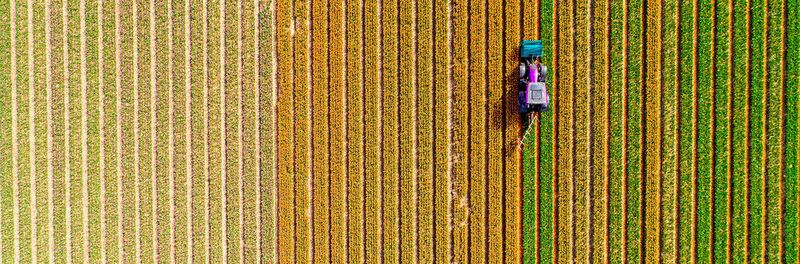 Noch ist frisches Grün möglich. Die zehn wichtigsten Nutzpflanzen der Welt - Gerste, Maniok, Mais, Ölpalme, Raps, Reis, Sorghum, Sojabohnen, Zuckerrohr und Weizen - liefern zusammen 83 Prozent aller auf Ackerland erzeugten Kalorien. Seit langem wird prognostiziert, dass die Erträge unter künftigen Klimabedingungen sinken werden. Noch ist frisches Grün möglich. Die zehn wichtigsten Nutzpflanzen der Welt - Gerste, Maniok, Mais, Ölpalme, Raps, Reis, Sorghum, Sojabohnen, Zuckerrohr und Weizen - liefern zusammen 83 Prozent aller auf Ackerland erzeugten Kalorien. Seit langem wird prognostiziert, dass die Erträge unter künftigen Klimabedingungen sinken werden.