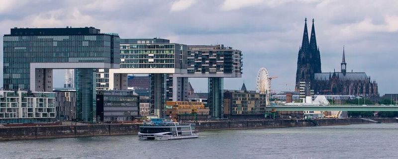 In den europäischen Gewässern wie dem Rhein kommen trotz vieler Verbesserungsmaßnahmen in der Vergangenheit immer noch zu viele Chemikalien vor (Symbolbild).(Bild:  frei lizenziert /  Pixabay)