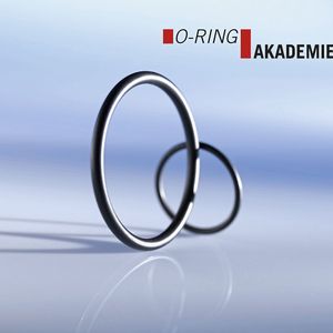 Auf den ersten Blick wirken O-Ringe einfach und unscheinbar. Dabei handelt es sich um sensible Bauteile, die in der Praxis häufig falsch gehandhabt werden. (Bild:  COG)