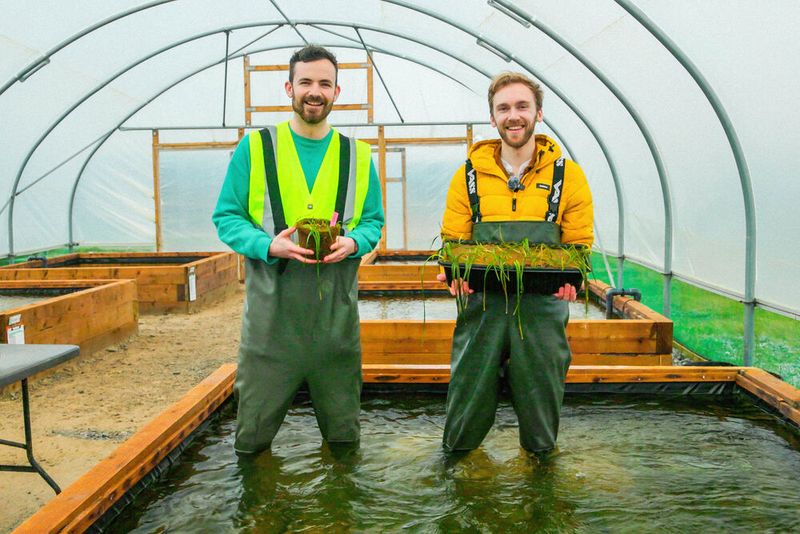 Das Projekt zum Schutz von Seegras in Grossbrittanien wird von Meeresschutzexperten geleitet. Die Unterweasser-Erntemaschine wurde mit von Mouser gelieferten Bauteilen gebaut und entwickelt. (Bild: Mouser)