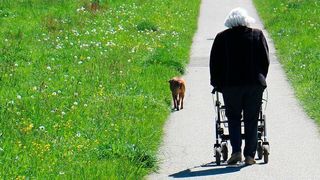 Ein Mangel an Vitamin D, Vitamin E und Carotinoiden könnte eine maßgebliche Rolle bei der Entstehung von Altersgebrechlichkeit, auf Englisch Frailty, spielen. (Symbolbild) (gemeinfrei)