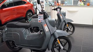 Den Löwenanteil des deutschen E-Schwalbe-Volumens von Vertriebspartnern vermarkteten bislang die Filialen der Berliner König-Gruppe. (Bild: Rehberg - VCG)