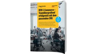 Magnolia_WPCover_MAC_B2BMarketingDays (Magnolia CMS)