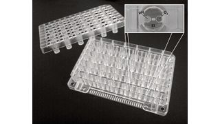 Abb.1: Intelligente Multiwellplatte mit Sensorik: Alle 24 Kammern enthalten jeweils einen Sensor zur Erfassung des pH-Werts, der Gelöst-Sauerstoff-Konzentration und der Impedanz. (Bild: Steinbeis-Transferzentrum Medizinische Elektronik und Lab on Chip-Systeme)