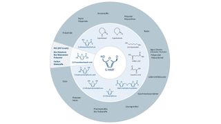 PEF wird hergestellt auf Basis von Furandicarbonsäure (FDCA), einem Folgeprodukt von 5-HMF. (AVA-CO2 Schweiz)