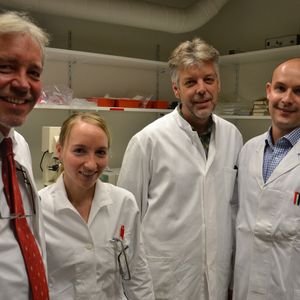 Abb. 2: Professor Thomas Bosch, Leiter der Hydra-Studie mit seinem Team: Anna Marei Böhm, Jörg Wittlieb und Dr. Konstantin Khalturin.