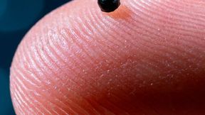 This is how small the latest ETH microrobot is.  (Source: Luca Donati / ETH Zurich)