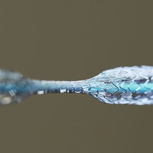 3) Formgedächtnislegierungen – Metalle mit Erinnerung Nitinol und andere Formgedächtnislegierungen „erinnern“ sich an ihre ursprüngliche Form. Nach extremer Verformung kehren sie bei Erwärmung automatisch in ihre Grundform zurück. In der Medizin ermöglichen sie selbstexpandierende Stents und superelastische Zahnspangen. William J. Buehler und Frederick Wang entwickelten Nitinol 1958/59 am US Naval Ordnance Laboratory; 1962 wurde es der Öffentlichkeit vorgestellt.  Quelle: Hoh et al., Neurosurgery (2009) - Nitinol in der Neurochirurgie Entdeckung: Spektrum der Wissenschaft - Legierungen die sich an Formen erinnern    LP-Lesetipp: Formgedächtnis-Mikroventile in 3D-Drucktechnik(Bild: ©  Alex Traveler - stock.adobe.com)
