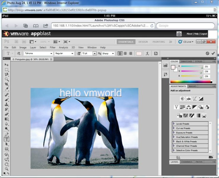 Mit Hilfe von VMware AppBlast können Benutzerarbeitsplätze über HTML 5 transferiert werden. (Archiv: Vogel Business Media)