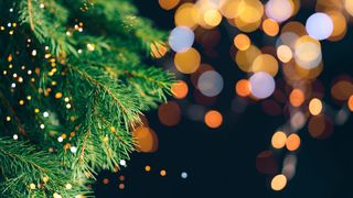Bevor elektrische Lichter erfunden wurden, schmückten Menschen ihre Weihnachtsbäume mit Kerzen – eine Praxis, die oft zu Bränden führte.  (Bild: Anastassiya - stock.adobe.com)