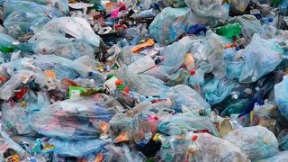 Ohne staatliches Müll-Management-System landet in Indien viel Unrat auf der Straße. (Bild: www.pixabay.com)