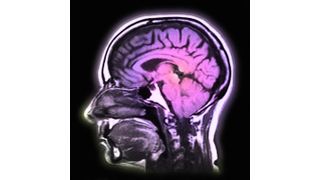  (Archiv: Vogel Business Media)