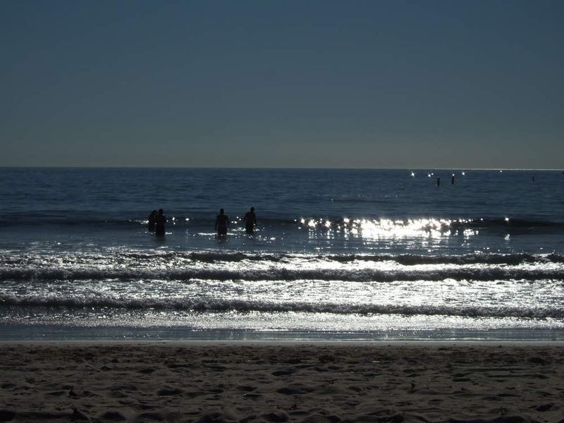 Bei herrlichem Wetter wagten einige den Sprung in den Pazifik. (Archiv: Vogel Business Media)