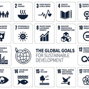 Die 17 Nachhaltigsziele der Vereinten Nationen(Bild:  Zeta)