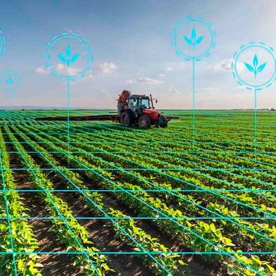 Los láseres basados en inteligencia artificial, las cultivadoras robóticas y los pulverizadores de precisión podrían revolucionar la forma en que los agricultores gestionan las malas hierbas, pero un estudio reciente de la Universidad de Misisipi y la Universidad de Cornell ha revelado que estas tecnologías también podrían plantear retos económicos y ecológicos. (Fuente:Sarah Tewolde/Departamento de Marketing y Comunicación de la Universidad)